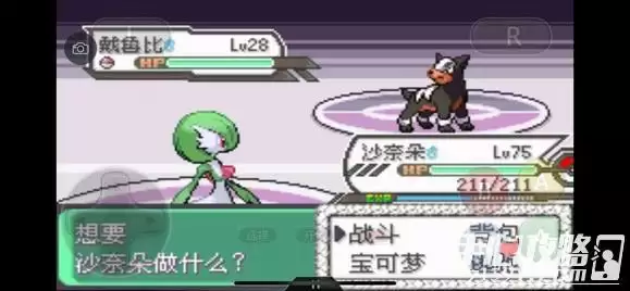 《口袋妖怪究极绿宝石5》全道路分布精灵图鉴大全