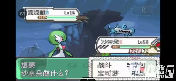 《口袋妖怪究极绿宝石5》全道路分布精灵图鉴大全