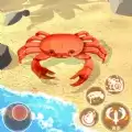 寄居蟹模拟战
