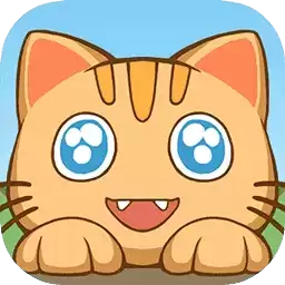 萌猫养成记