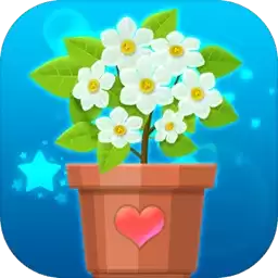 我的小阳台测试