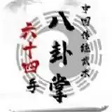 中国传统武术八卦掌六十四手