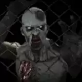 世界末日庇护所