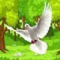 飞鸽鸟模拟器