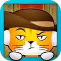 勇敢的猫咪