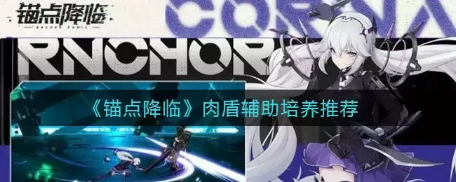 《锚点降临》肉盾辅助培养推荐