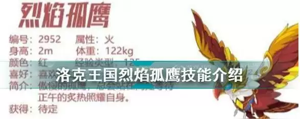 洛克王国烈焰孤鹰技能表_1 洛克王国烈焰孤鹰技能表