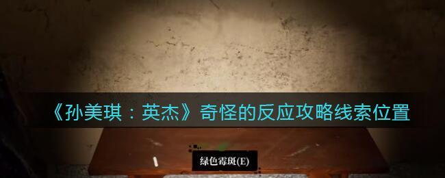 《孙美琪疑案：英杰》四级线索——奇怪反应