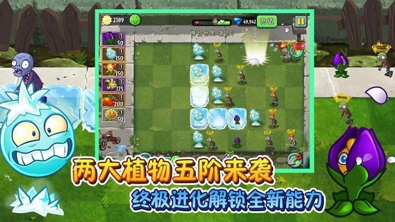 植物大战僵尸