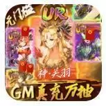 真龙英雄GM真充万抽