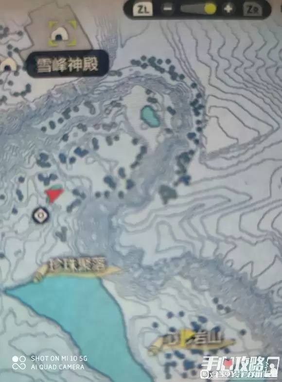 《宝可梦传说阿尔宙斯》奇路里安在哪里抓