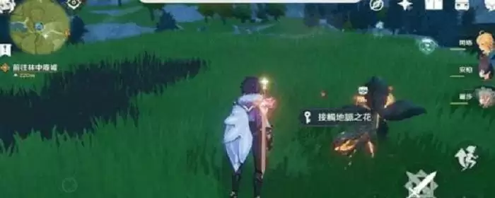 地脉之花奖励列表