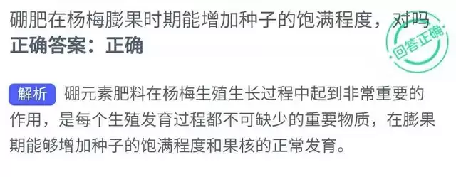 硼肥在杨梅膨果时期能增加种子的饱满程度对吗