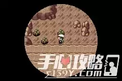 《口袋妖怪究极绿宝石5.3》大钢蛇Mega石怎么得