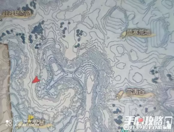 《宝可梦传说阿尔宙斯》电击怪在哪里抓