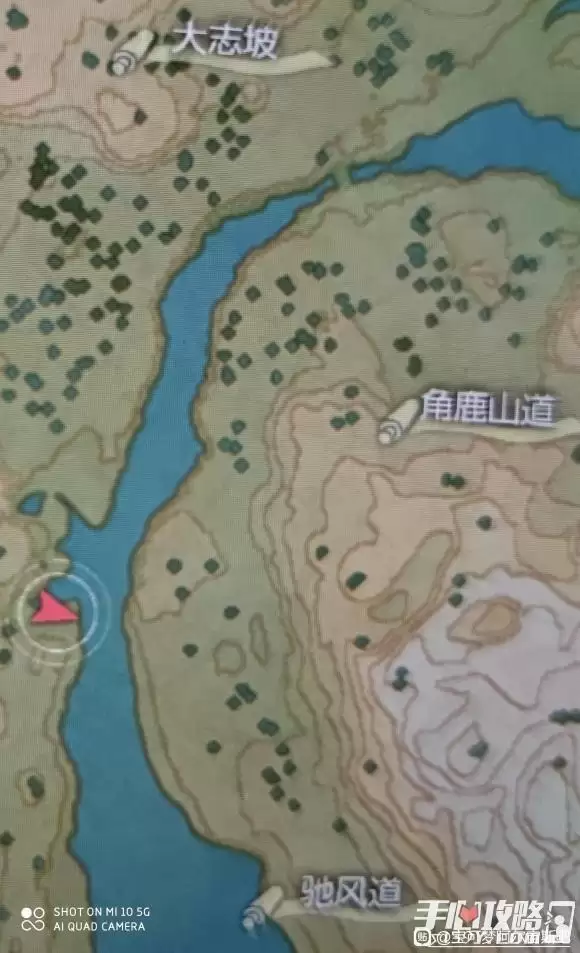 《宝可梦传说阿尔宙斯》小卡比兽在哪里抓