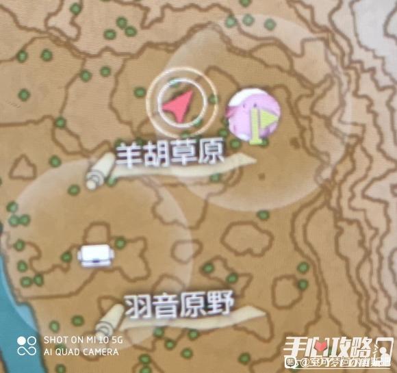 《宝可梦传说阿尔宙斯》帕琪利兹在哪里抓