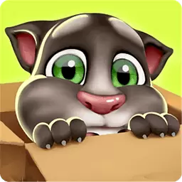 我的汤姆猫