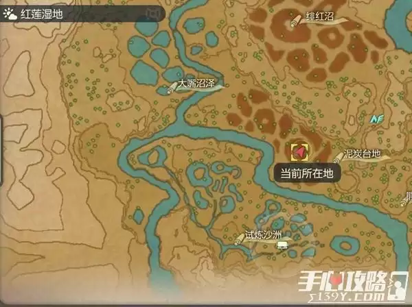 《宝可梦传说阿尔宙斯》在沼泽遗失的护符位置在哪里