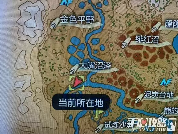 《宝可梦传说阿尔宙斯》红莲湿地弥美在哪