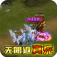 征与伐GM返真充