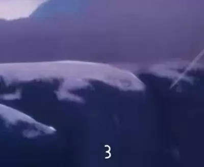 光遇地图大侦探答案是什么？地图大侦探地图推理答案攻略分享图片3