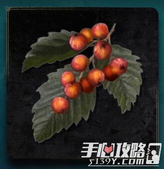 《艾尔登法环》罗亚果实获得位置介绍