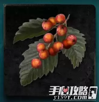 《艾尔登法环》罗亚果实获得位置介绍