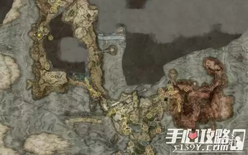 艾尔登法环水母盾在哪 艾尔登法环水母盾位置