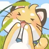 猫猫我最萌红包