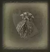 《艾尔登法环》古王护符位置在哪里