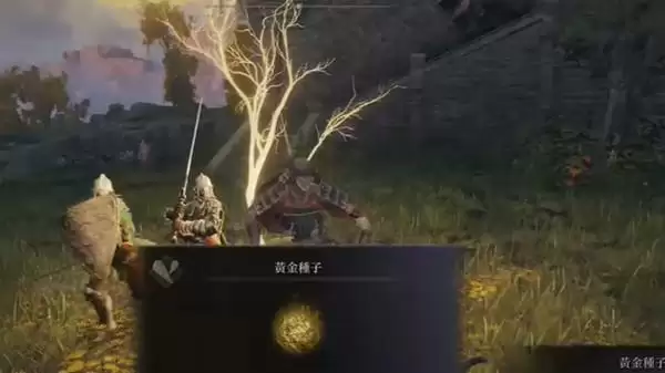 艾尔登法环黄金种子在哪里？黄金种子地图位置全一览图片2