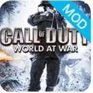 使命召唤5重制版