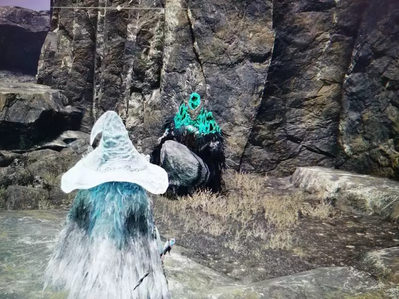 艾尔登法环封印魔女的废墟怎么救？封印魔女的废墟救人方法图片3