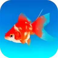 金鱼模拟器
