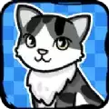 跑跑云养猫