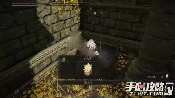 《艾尔登法环》龙雷庇佑获取方法