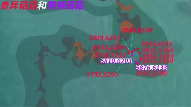 创造与魔法奇异菇菇多久刷新