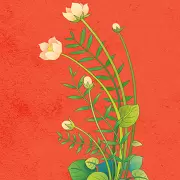 绿色果园红包