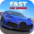 快速汽车驾驶模拟FCD