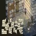 废墟上绽放的土豆花