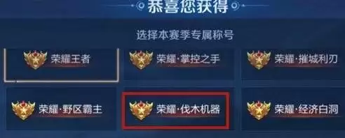 王者荣耀荣耀王者专属称号可以换吗？荣耀王者专属称号怎么改？[多图]图片2