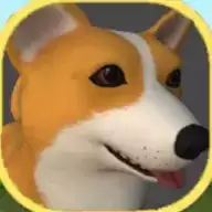 柴犬咖啡冒险
