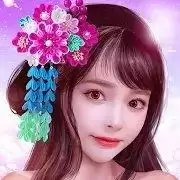 花与武的战国解锁