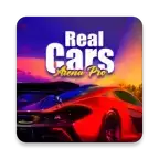 职业真车竞技场