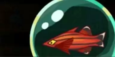 咸鱼之王赤羽怎么获得