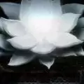 莽荒余生