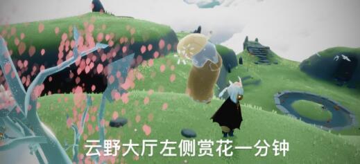 光遇云野赏花在哪 任务位置介绍