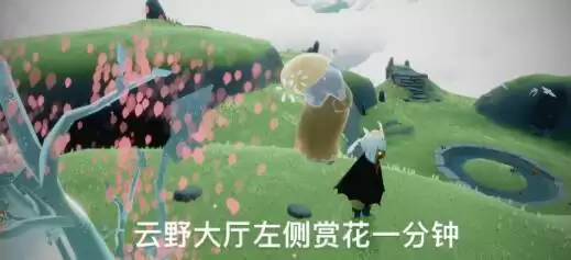 光遇云野赏花在哪 任务位置介绍