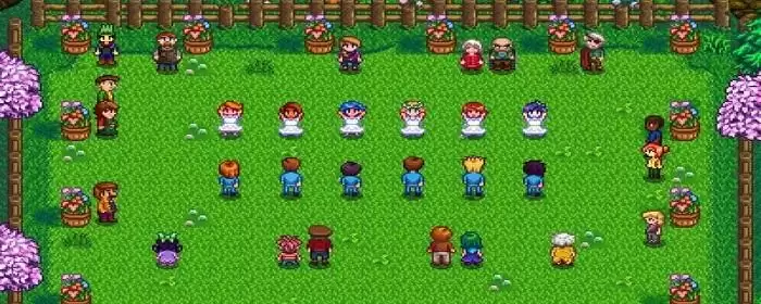 星露谷怎么结婚